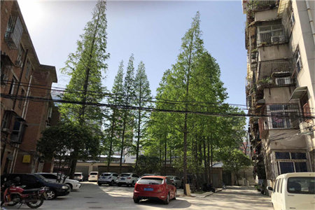 盛元名府精装套三双卫带车位和大附房中间好楼层